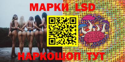 крисы Добрянка