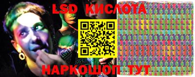 крисы Добрянка