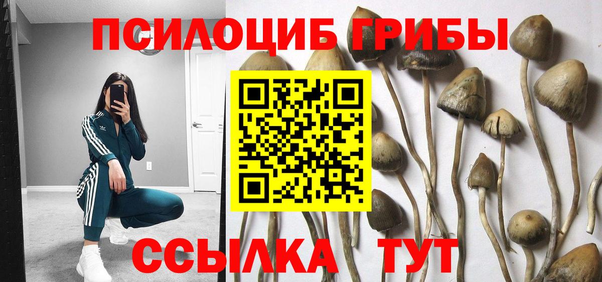 Белгород  где купить наркоту  Вход с VPN  Галлюциногенные грибы мицелий 